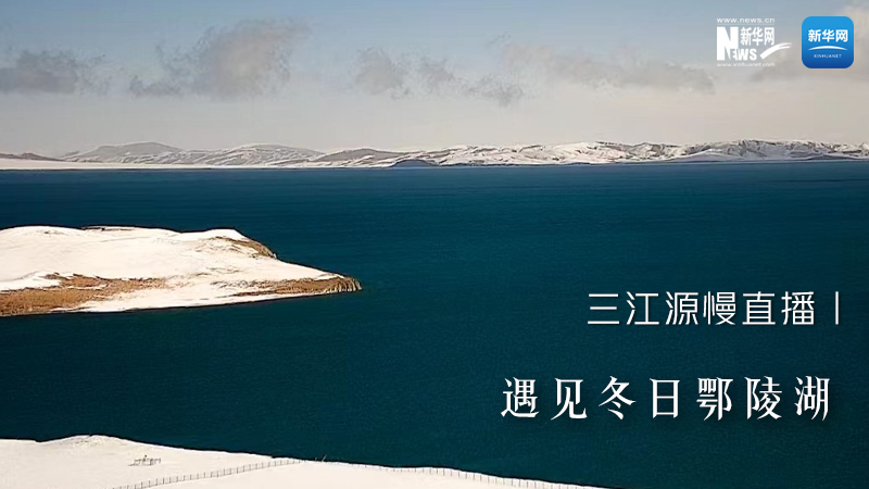 三江源慢直播丨遇見(jiàn)冬日鄂陵湖