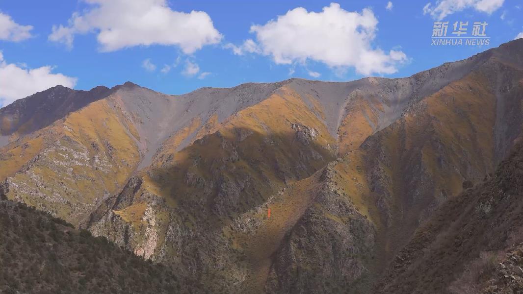 4362張照片！他們在這里堅持10年開展雪豹種群動態(tài)研究